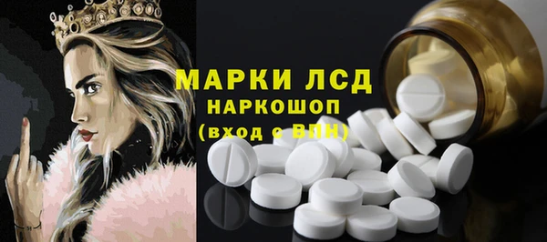 стаф Абаза
