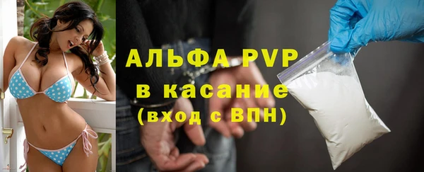 мяу мяу мука Няндома