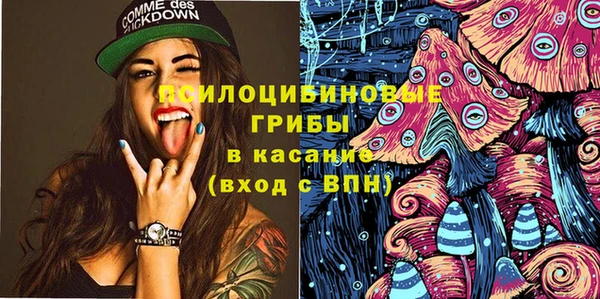 СК Алексин