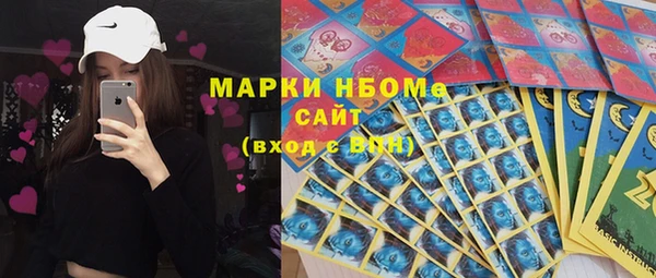 стаф Абаза