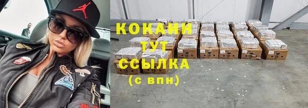 стаф Абаза