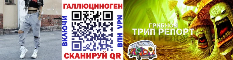 Псилоцибиновые грибы GOLDEN TEACHER  Харабали 